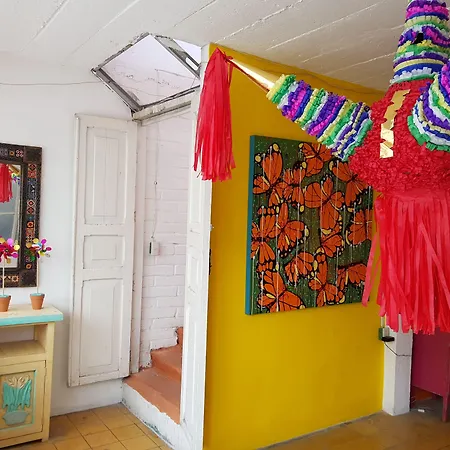 Hostel Vallarta (Adults Only)-3