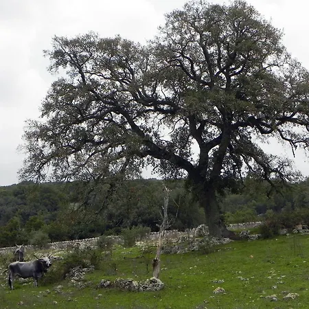 Agriturismo Beethoven-2