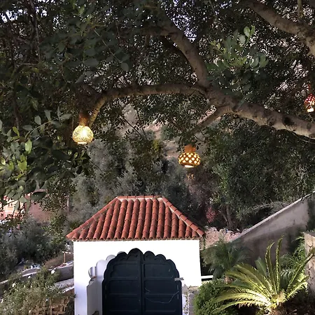 Dar Jasmine-2