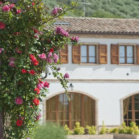 Terra Del Sole-3