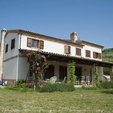 Terra Del Sole-2