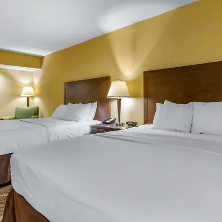Clarion Inn & Suites Roswell-3
