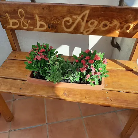 Agorà Bisceglie-3