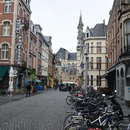 Hotel Professor Leuven Centrum-3