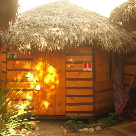 Raiz Kite Cabana-2