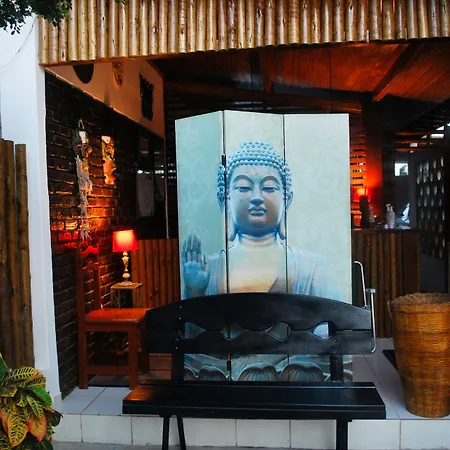 Antheia Ponta do Seixas-2