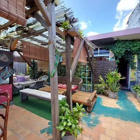 The Green Hostel-2