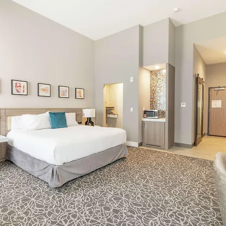 Hilton Garden Inn Wichita Downtown, Ks-2