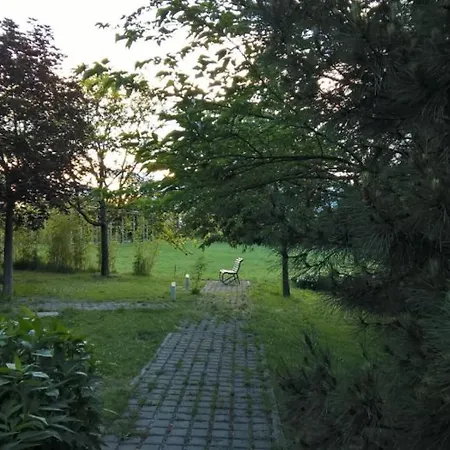 Rose Canine B&B-2