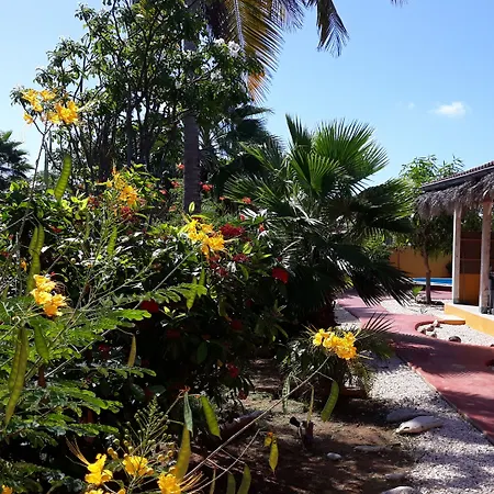 B&B Casa Trankilo-2