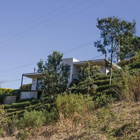 Pousada Casa Bambu-2
