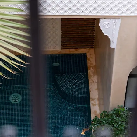 Riad Beldi-3