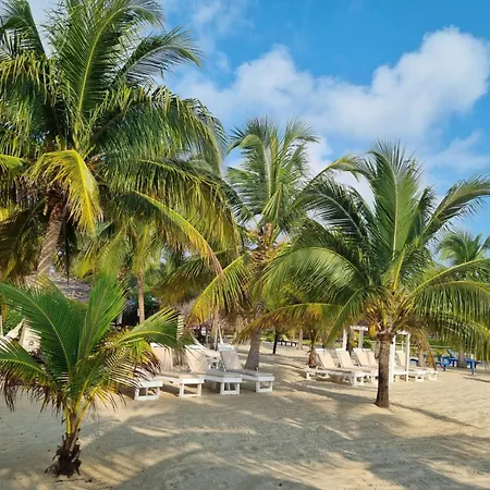 Caribbean Beach Cabanas-3