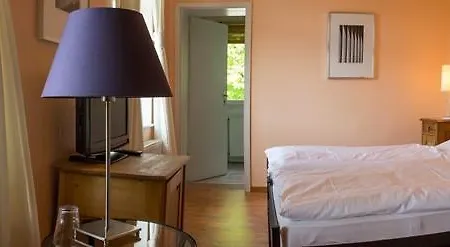 Hotel Grüner Jäger-3