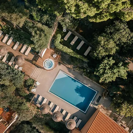 Hotel & Spa Le Madeloc - Collioure Centre-3