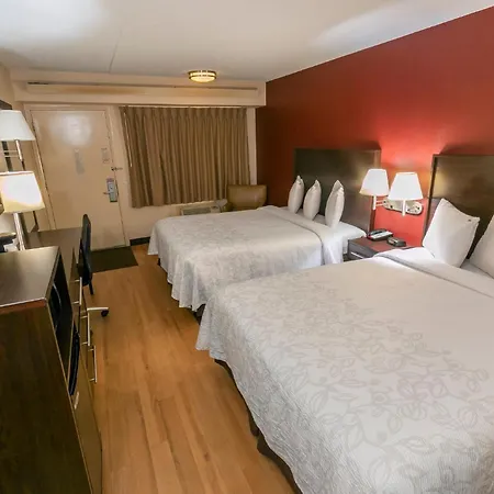 Red Roof Inn Plus+ St. Louis - Forest Park / Hampton Ave.-3