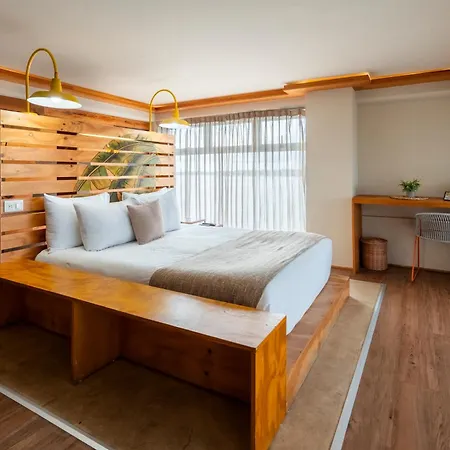 Mayan Monkey Cancun - Social Hostel (Adults Only)-2