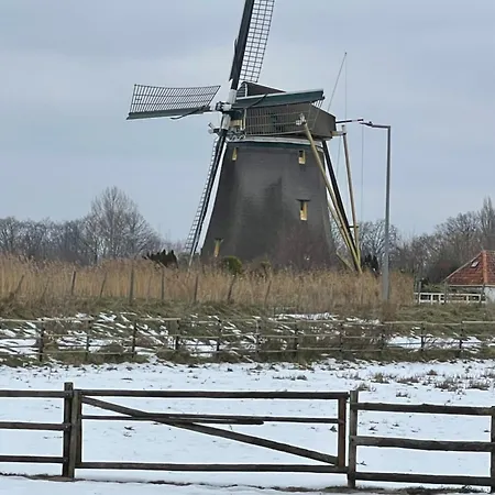 Chalet Aan De Rotte-3