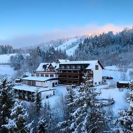 Wald Hotel Willingen-3