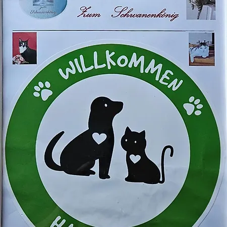 Hotel Medebach - Zum Schwanenkönig-2