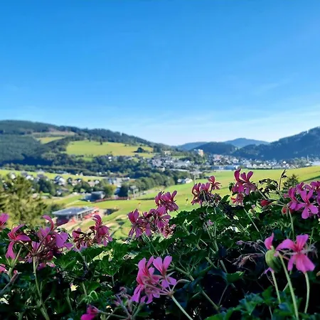 Wald Hotel Willingen-2