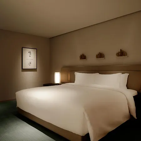Park Hyatt Tokyo-3