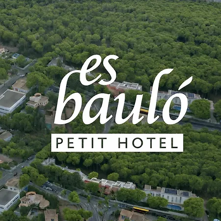 Es Baulo Petit Hotel-3