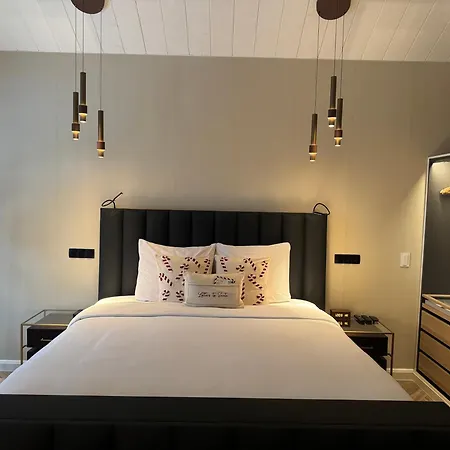 Berg en Bos Suite met luxe jacuzzi-2