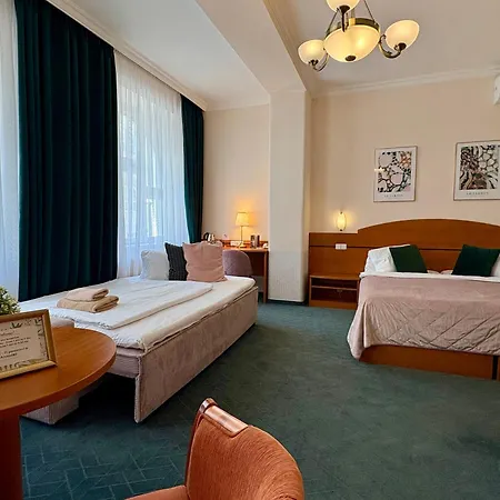 Hotel Arcus Garden-2