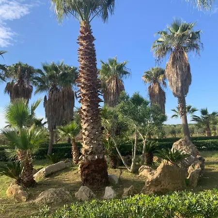 Villa delle Palme Delfina - parking Piscina a 10 minuti dal centro e dal mare-3