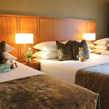 The Rose Hotel-3