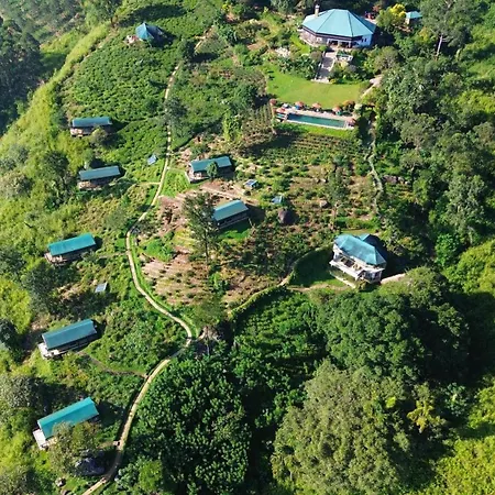 Madulkelle Tea And Eco Lodge-3