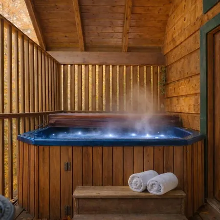 Mountain Eden, Hot Tub, Resort Pool, Wifi, Free Tickets Each Paid Day!!!-3