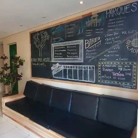 Joshua Tree Hostel - Curitiba-3