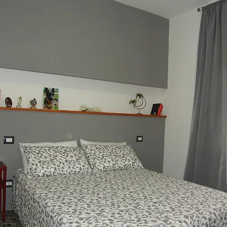B&B Myosotis-3