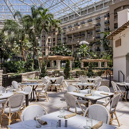 Gaylord Palms Resort & Convention Center-3