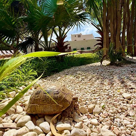 Villa Nour-2