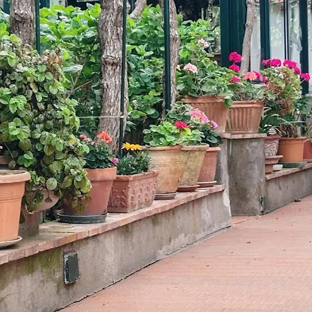 Villa dei fiori B&B-3
