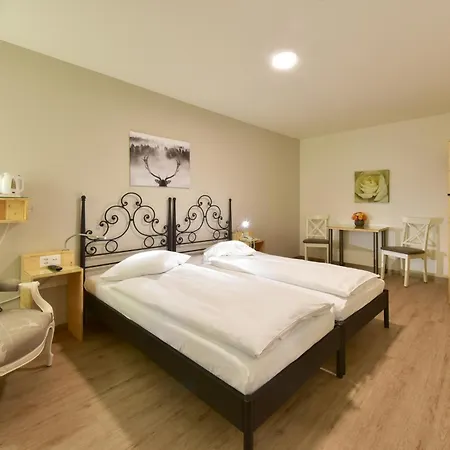 Hotel Hirschen-2