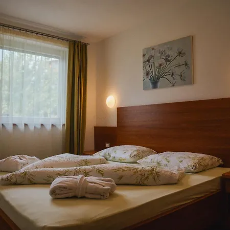 Hotel - Appartements Schmied Hans-3