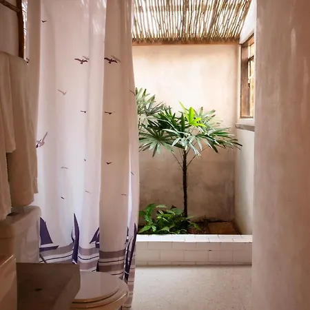 Casa da Arquiteta Guest House-3