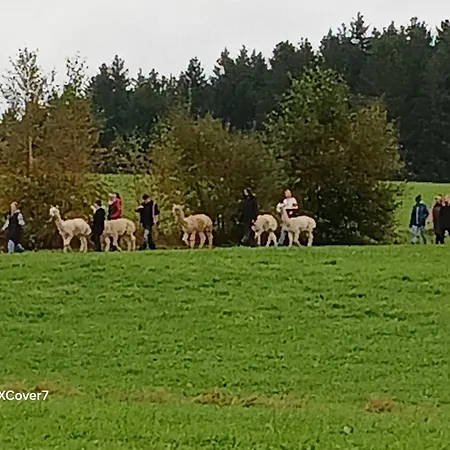 Bauernhof König-3