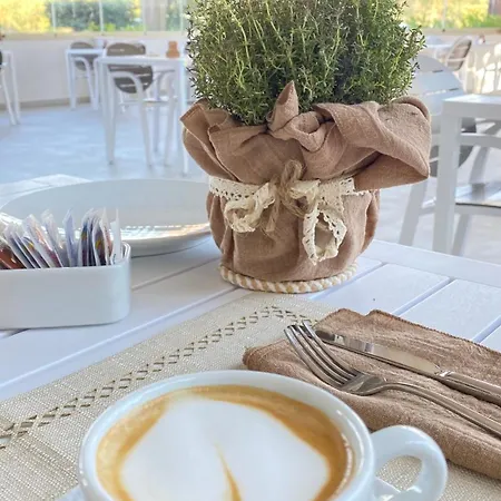 Noha Lifestyle Hotel - Adults Only-3