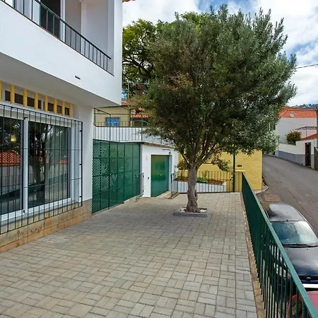 Casa Caminho Do Palheiro - Funchal-3
