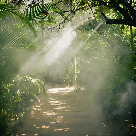 Nômade Temple Tulum-2
