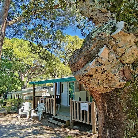 Greenchalets Roquebrune Sur Argens-2