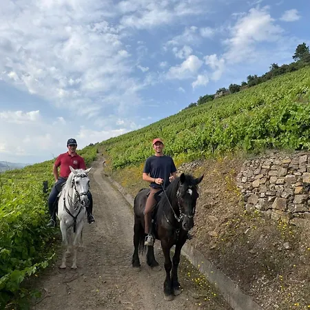 Quinta do Valdalágea-2