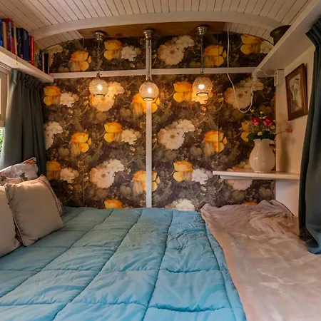Tiny House-2