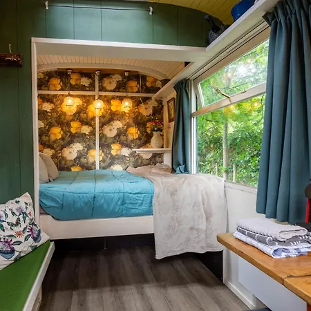 Tiny House-3