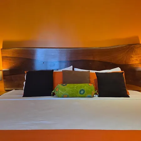 Hotel La Palapa-3
